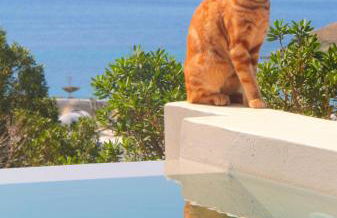 Villa with View of Agios Ioannis and Pool with Jacuzzi - Foto 24