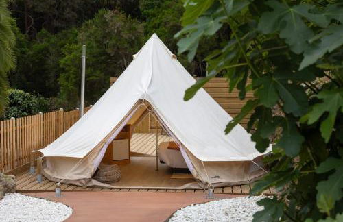 Monte frio de Tenerife - Foto 73