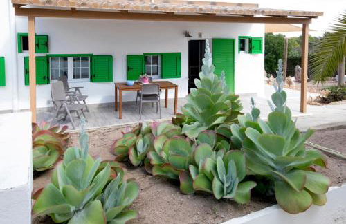 Apartamentos Can Guasch Formentera - Foto 65