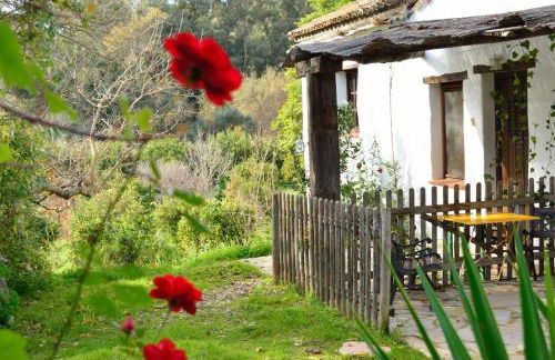 Casa Rural Ahoraya - Foto 9