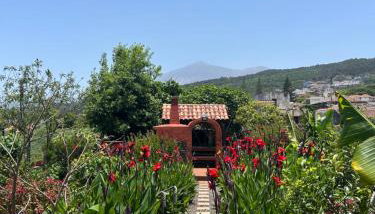 Casa terrera "El Granero" - Foto 1, Garden, Garden view