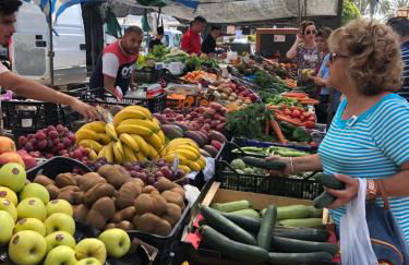 Aunt Antonia Beach House - Photo 46