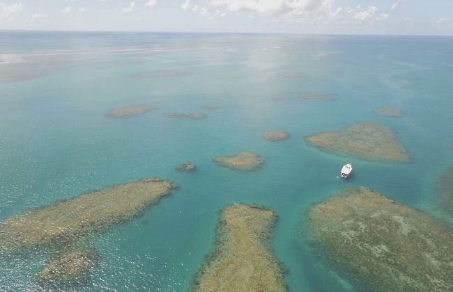 Excursión al Parque Marino de Recife de Fora - Foto 1