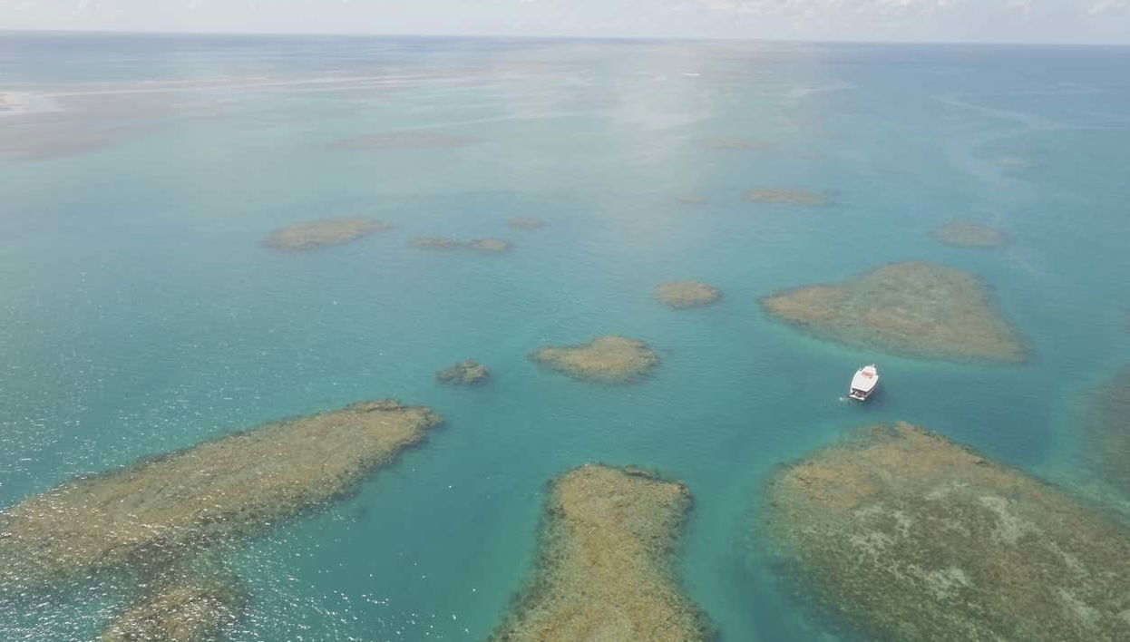 Vista aérea del parque marino