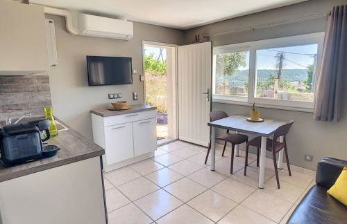 Condrieu, le Châtillon au cœur du vignoble belle vue sur vallée du Rhône - Foto 10