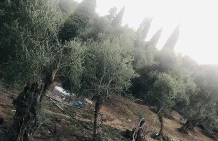 Terpsichore Boutique Appartments - Foto 62