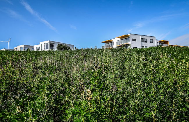 House Þ1 - Photo 33