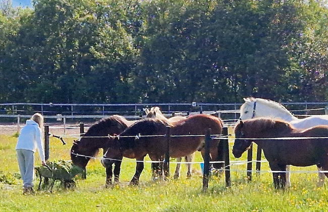 6 Person Holiday Home in Hamnvik - Foto 15