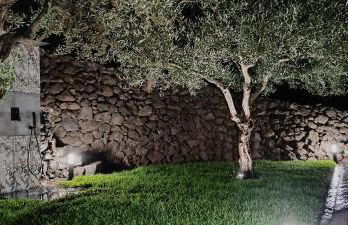 EtnAround You - Foto 32