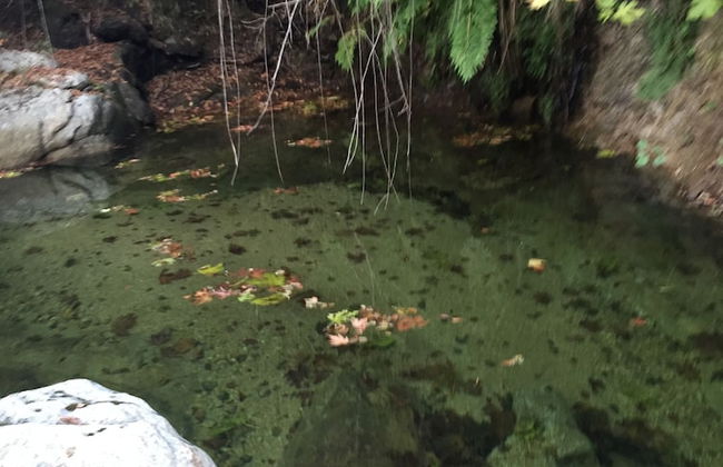 Despina studios and rooms - Foto 34