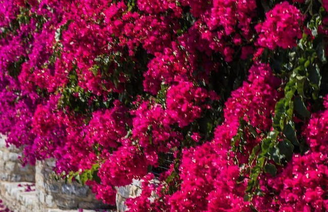 Niriides Hotel & Apartments - Photo 70