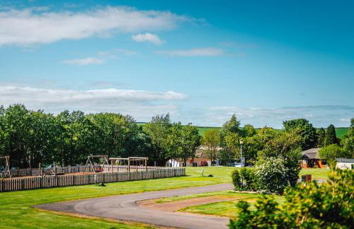 Thurston Essential Clover Caravan 3 - Foto 8