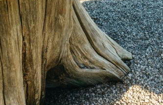 ARA Cabin - Mêl - Foto 33