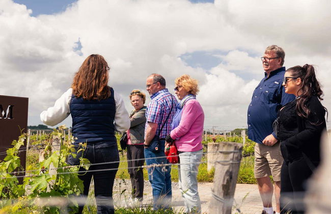 Medoc Wine Tour - Photo 7