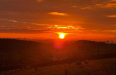 1 Bedroom Holiday let in the Heart of West Wales - Foto 13