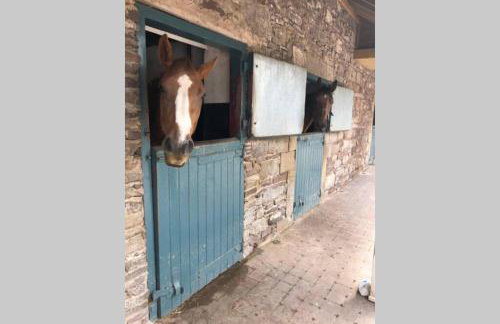 Rhubarb Cottage - Foto 18