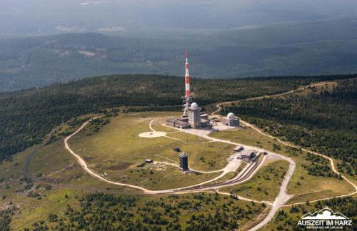 Waldrandzauber - Foto 39