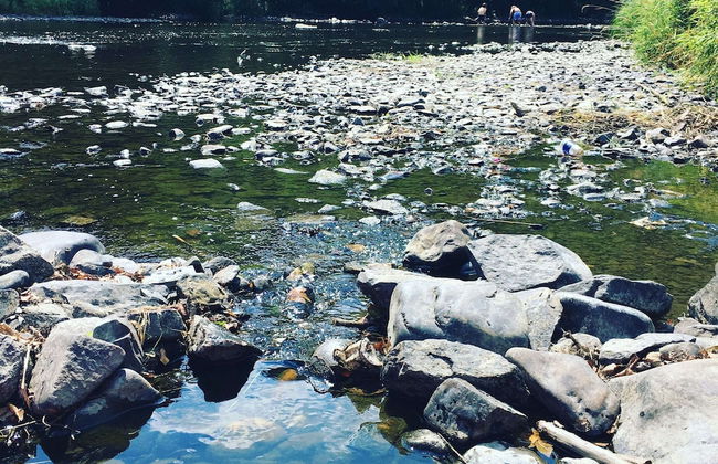 Group Getaway With Sauna - Photo 38