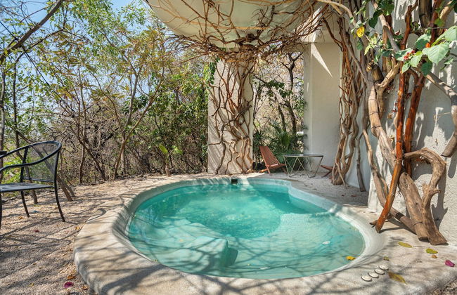 Bosque Geométrico - Foto 72