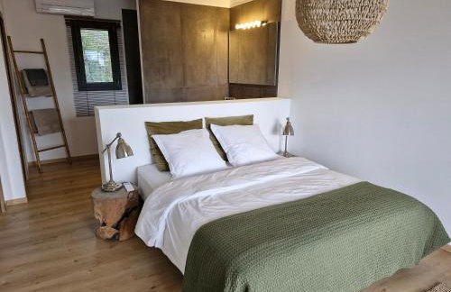 NOUVEAUTE! Magnifique villa à 2 minutes des plus belles plages de la rive sud - Foto 10