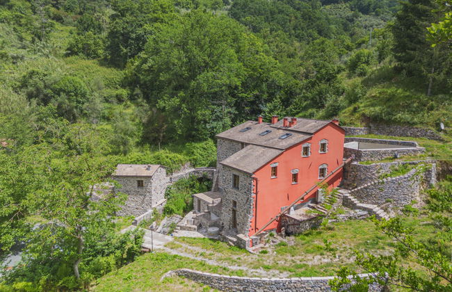 Ciliegiolo - Foto 24