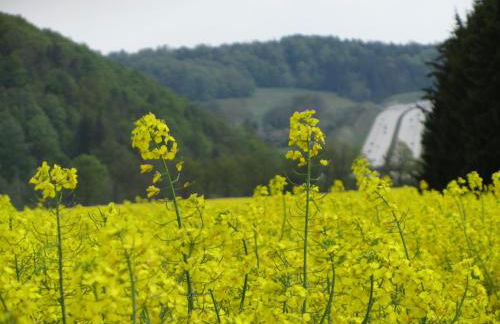 Ferienwohnung Brunow "In der Natur Zuhause" - Foto 28