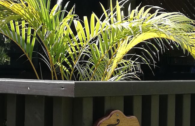 JJ's Retreat - Foto 22