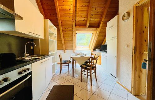 Ins Scholze große und kleine Ferienwohnungen in Albersbach - Foto 4