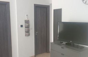 Irdis Garden - Foto 8