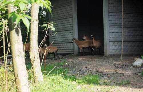 Ranczo w Dolinie Biskupice - Foto 26