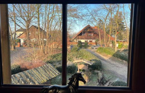 Ferienhaus Feldblick mit Kamin für 15 Personen - Foto 41