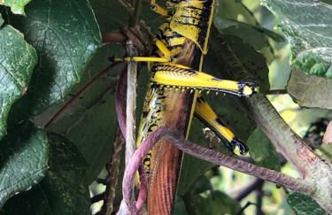 Fishers Of Men Ranch Home - Photo 39