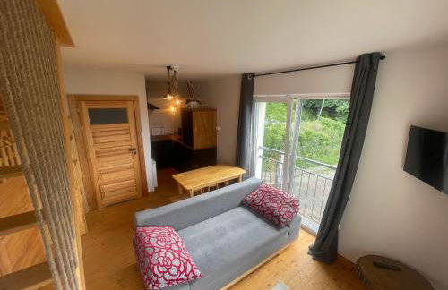 apartamentwroznowiepl - Foto 30