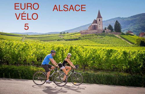 Près Colmar 6 bis - Foto 24