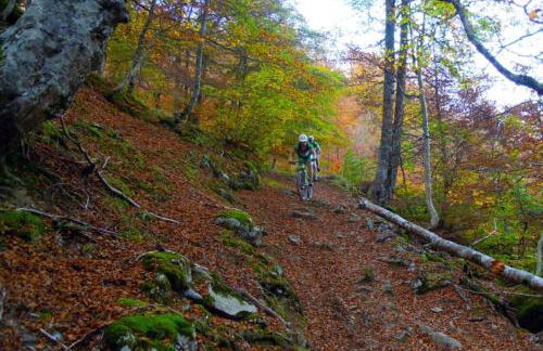 Gran Pedroso de Llanes - Foto 20