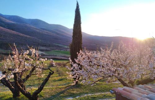 Le Grand Hermas - Foto 15