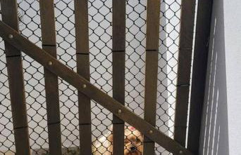 Apartamento Ambar - Foto 26