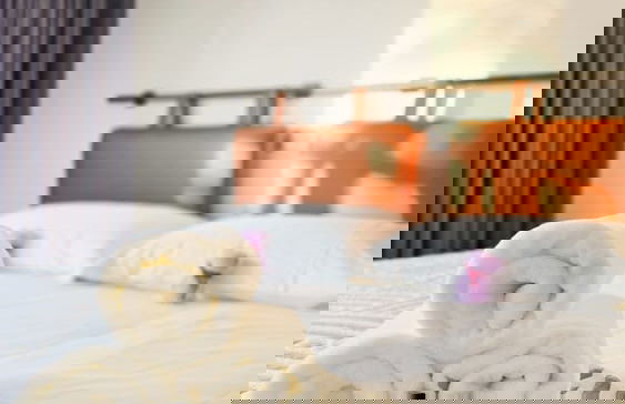 Alpin Motel & Conference Centre - Foto 26