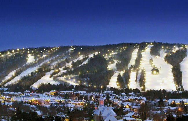 Domaine Nymark - Photo 44