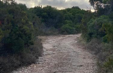 Robinson house Leticia - Foto 34