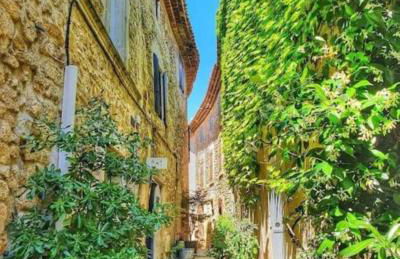 Les Dentelles du Ventoux - Gîte avec Piscine - Photo 39