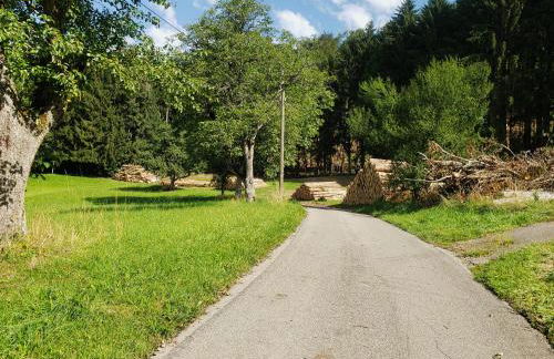 Ferienhaus mit Alpenpanorama - Photo 18
