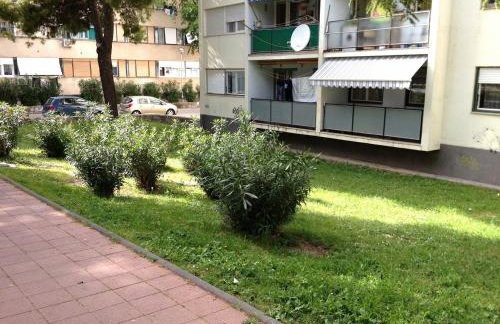 Sunny & Spacious, 2 BR apartment with free parking - Photo 21