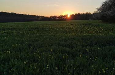 Apartament Pod Dębiną - Foto 14