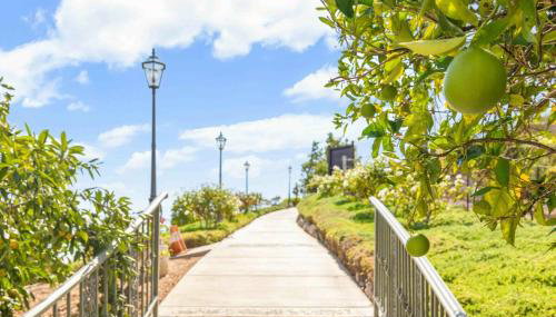 Fallbrook Vineyard Estate - Foto 3