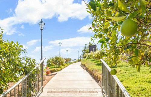 Fallbrook Vineyard Estate - Foto 3