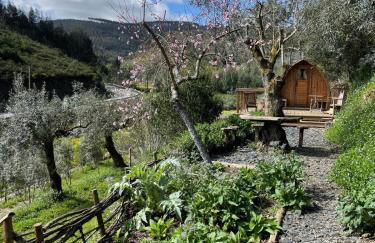 Quinta dos Milagres Casa dos Bigodes - Photo 25