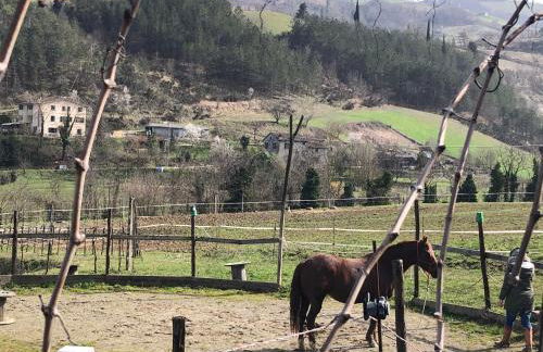 Agriturismo Campo Rosso - Foto 110