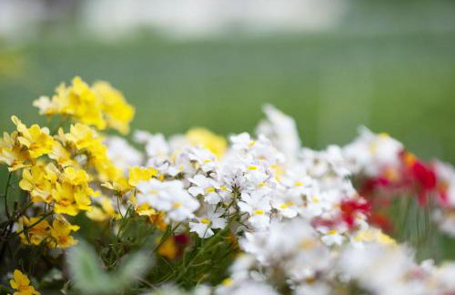 Bauernhof Sackgut - Foto 15