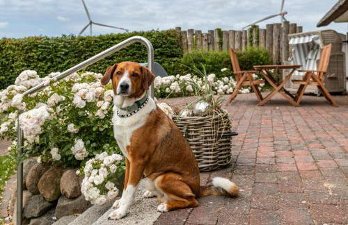 Landhaus Knudsen - Foto 11